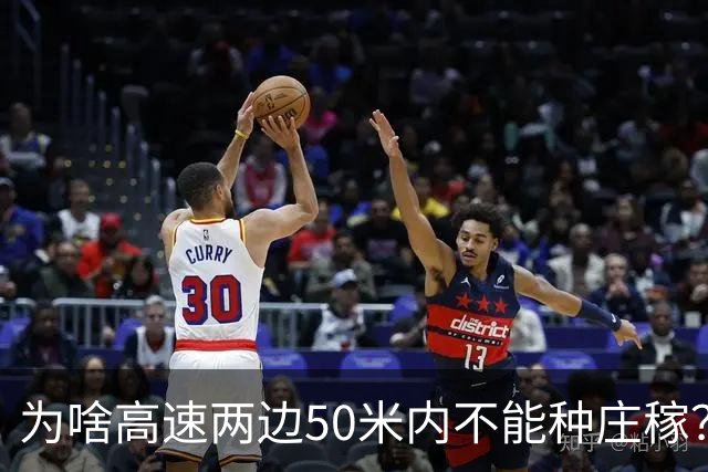 为啥高速两边50米内不能种庄稼？种出来的大米你可能不敢吃