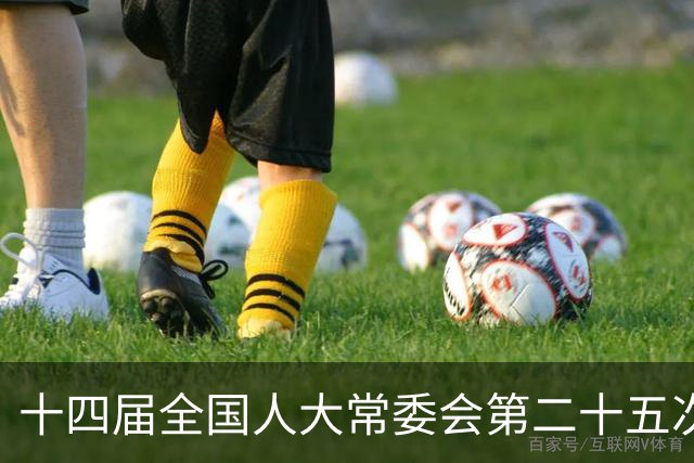 十四届全国人大常委会第二十五次会议将于11月2日至6日在京举行