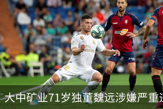大中矿业71岁独董魏远涉嫌严重违纪违法，接受纪律审查和监察调查