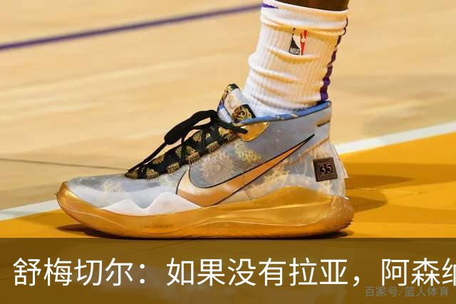 舒梅切尔：如果没有拉亚，阿森纳绝对不可能接近英超冠军