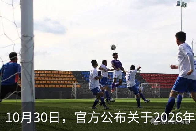 10月30日，官方公布关于2026年调整养老金的通知了吗？